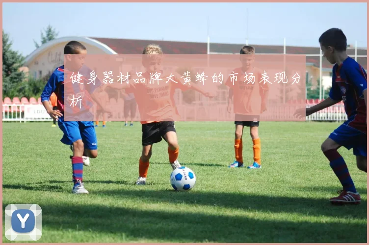 健身器材品牌大黄蜂的市场表现分析