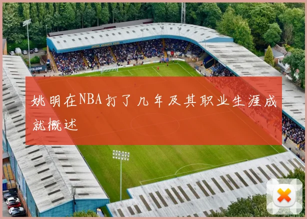 姚明在NBA打了几年及其职业生涯成就概述