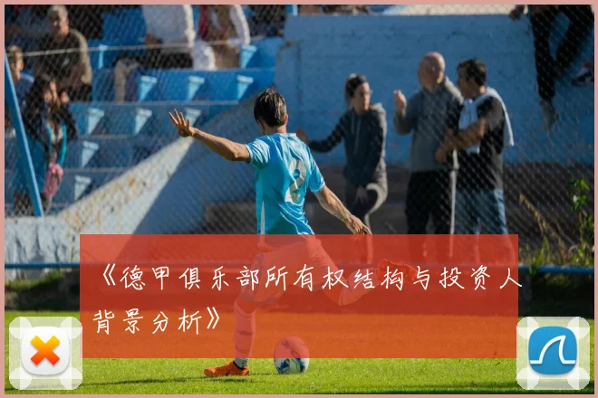 《德甲俱乐部所有权结构与投资人背景分析》