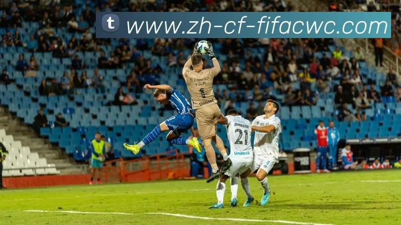 世界杯在线观看平台生态图